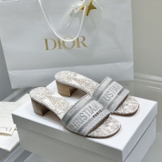 Christian Dior Slippers